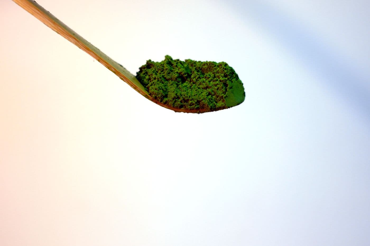 Bamboo chashaku scoop with matcha powder